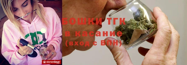 хмурый Горно-Алтайск