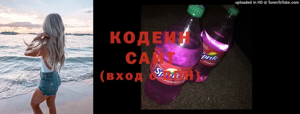 хмурый Горно-Алтайск