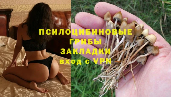 хмурый Горно-Алтайск