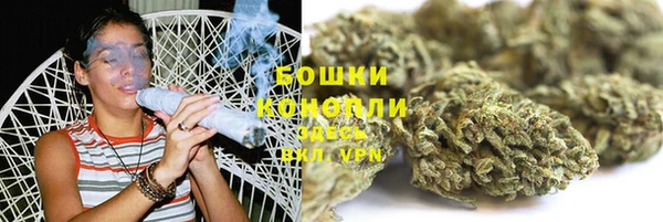 хмурый Горно-Алтайск