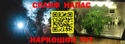 шишки Чебаркуль