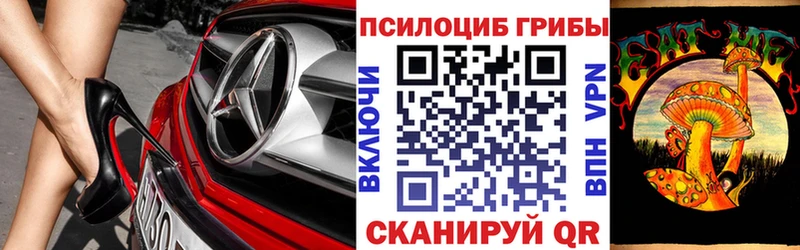 MEGA вход  Заинск  Псилоцибиновые грибы Psilocybe 