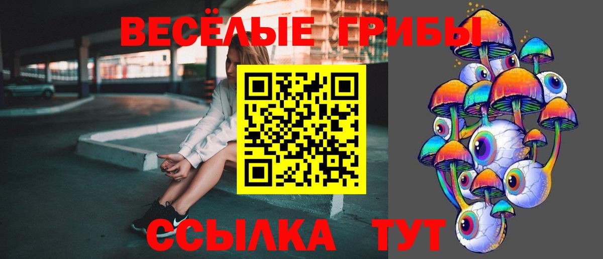 Псилоцибиновые грибы Magic Shrooms Заинск